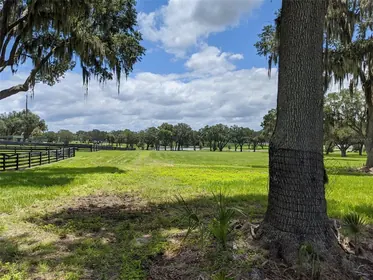 SUMMERFIELD FL Property