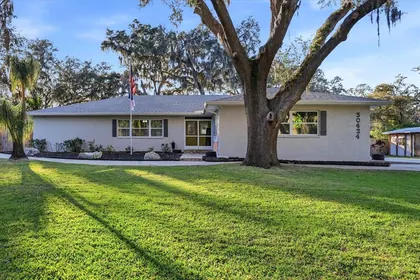 WESLEY CHAPEL FL Home