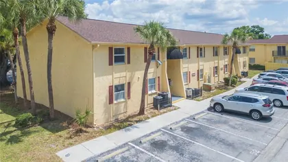TAMPA FL Home
