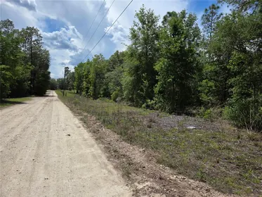BRONSON FL Property