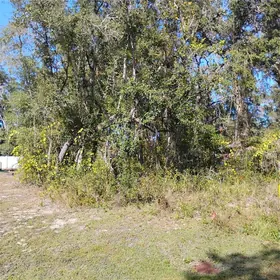 OCKLAWAHA FL Property