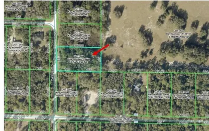 WEBSTER FL Property