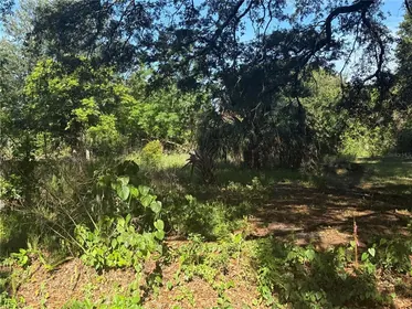 WINTER HAVEN FL Property
