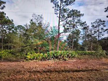INTERLACHEN FL Property