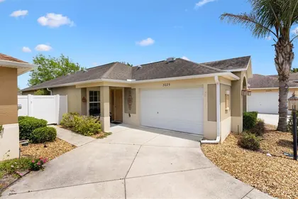THE VILLAGES FL Home
