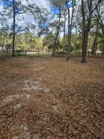 INVERNESS FL Property