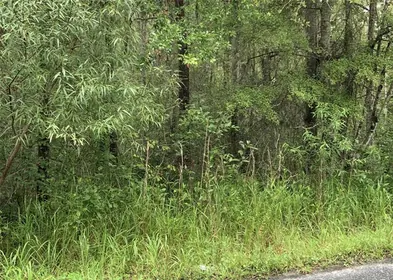 ALACHUA FL Property