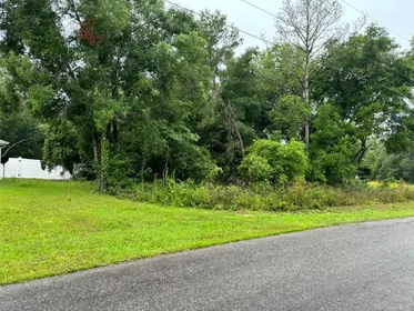 OCKLAWAHA FL Property