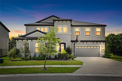LITHIA FL Home