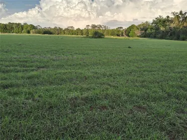 SUMTERVILLE FL Property