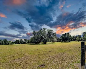 DADE CITY FL Property