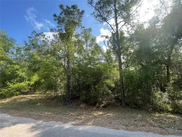 OCKLAWAHA FL Property