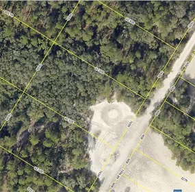 WEBSTER FL Property