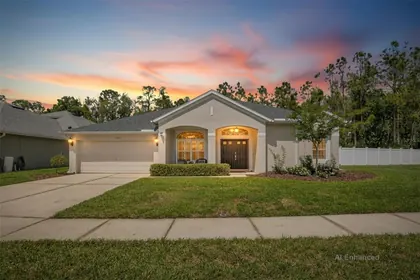 WESLEY CHAPEL FL Home