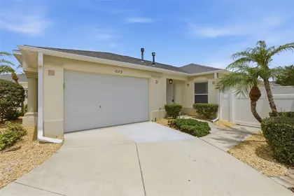 THE VILLAGES FL Home