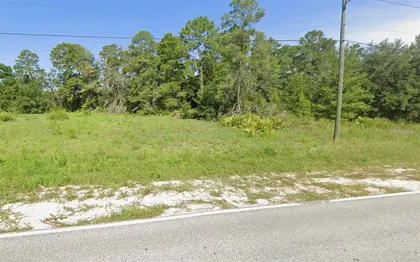 WEEKI WACHEE FL Property