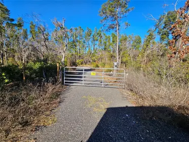 PERRY FL Property