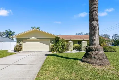 DUNEDIN FL Home