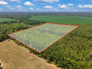 BRANFORD FL Property