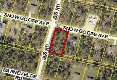 BROOKSVILLE FL Property