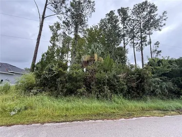 PALM COAST FL Property
