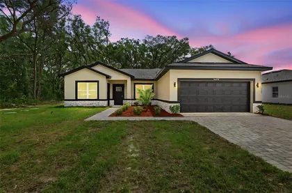 SUMMERFIELD FL Home