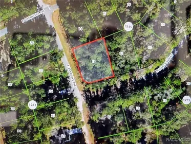CITRUS SPRINGS FL Property