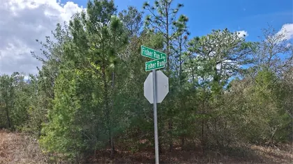 OCKLAWAHA FL Property