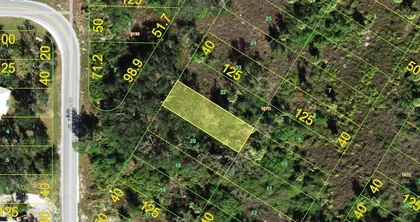 PUNTA GORDA FL Property