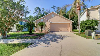 WESLEY CHAPEL FL Home