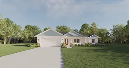OCKLAWAHA FL Home