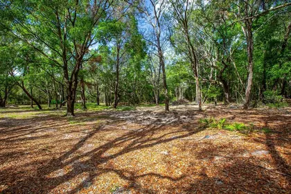 TRENTON FL Property