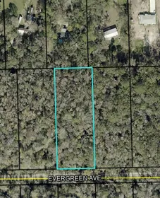 BUNNELL FL Property
