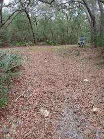 UMATILLA FL Property