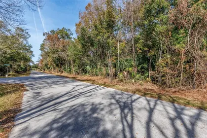 CRYSTAL RIVER FL Property