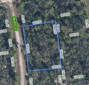 LAKE PLACID FL Property