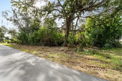 NEW PORT RICHEY FL Property