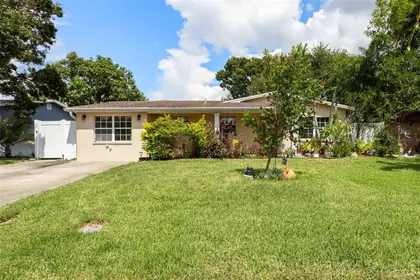 PINELLAS PARK FL Home