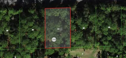 CITRUS SPRINGS FL Property