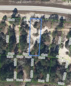 LAKE PLACID FL Property