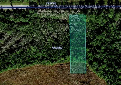 POLK CITY FL Property