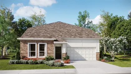 MINNEOLA FL Home
