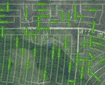 SEBRING FL Property