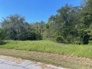 KISSIMMEE FL Property
