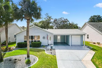 THE VILLAGES FL Home
