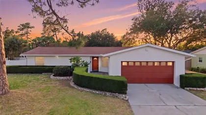 ST PETERSBURG FL Home