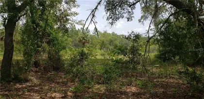 WILLISTON FL Property