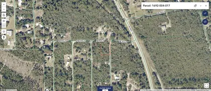 SALT SPRINGS FL Property