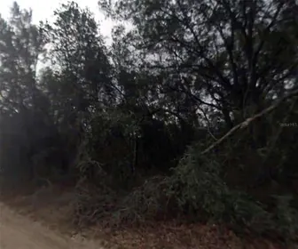 INVERNESS FL Property