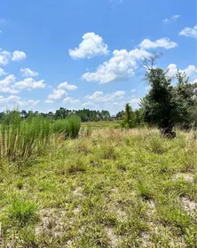 EUSTIS FL Property